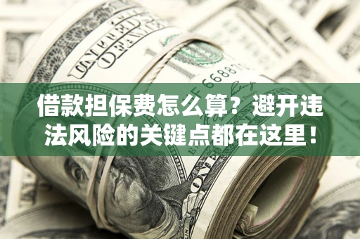 济南借款担保费怎么算？避开违法风险的关键点都在这里！