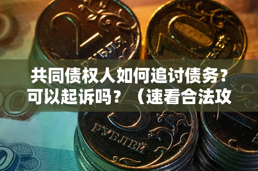 济南共同债权人如何追讨债务？可以起诉吗？（速看合法攻略）